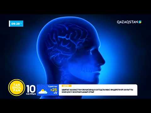 Видео: Мидың оң жақ бөлігі неге жалқау? Адам миының екі бөлігі неліктен екі түрлі қызмет атқарады?