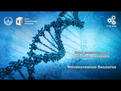 Видео: Введение. О курсе (без музыки)