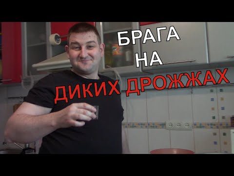 Видео: БРАГА НА ДИКИХ ДРОЖЖАХ | Дикие зерновые дрожжи | Дикошарый самогон