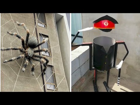 Видео: Фото подписчиков Фактории (237 часть)