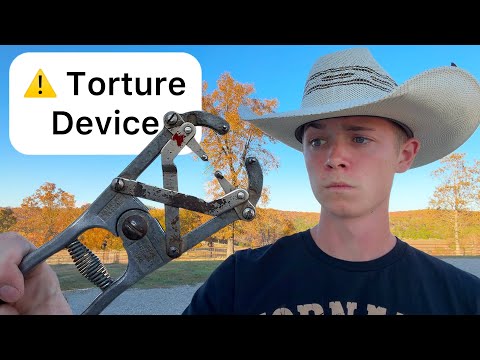 Видео: 5 сельскохозяйственных инструментов, о существовании которых вы не знали