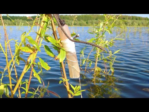 Видео: РЫБАЛКА НА ЩУКУ.