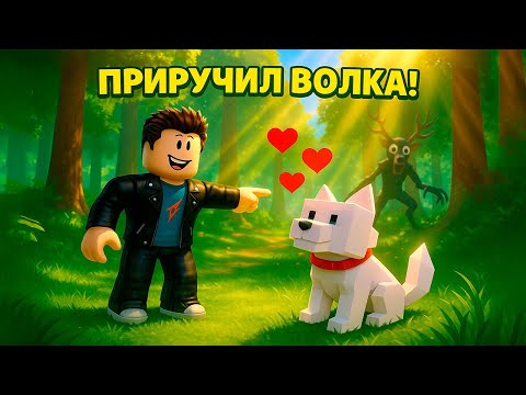Видео: ПРИРУЧИЛ ВОЛКА И ВЫЖИЛ 99 НОЧЕЙ В ROBLOX!