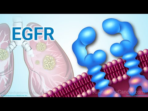 Видео: Понимание лечения НМРЛ при наличии мутации EGFR