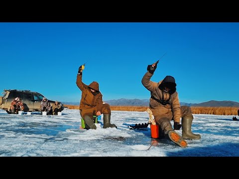 Видео: Зимняя Рыбалка! Ловля корюшки на самодур. Рыбалка в Приморье!