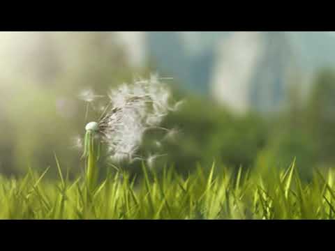 Видео: Melovin - Вітрила (𝕤𝕝𝕠𝕨𝕖𝕕+𝕣𝕖𝕧𝕖𝕣𝕓)