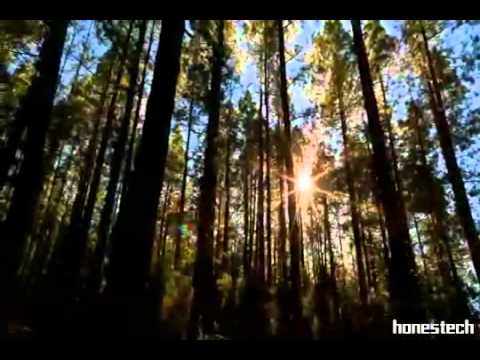 Видео: Единственной и любимой женщине.mp4