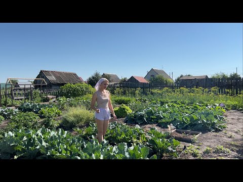 Видео: ЦЕЛЫЙ ДЕНЬ НА ОГОРОДЕ/УРОЖАЙ НАЧАЛА ИЮЛЯ/ т.ВЕРА В ГОСТЯХ