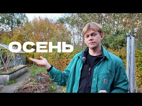 Видео: Сравниваю датскую осень с русской 🇩🇰 ⚔️ 🇷🇺