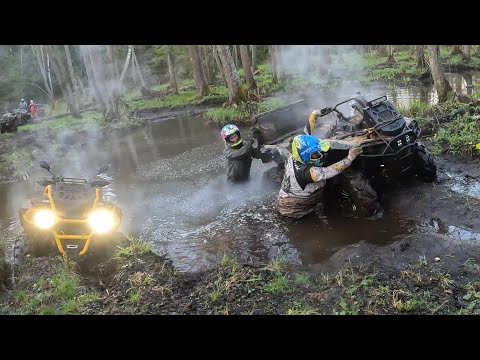 Видео: Долгий мост 2023