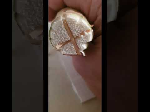 Видео: Нолина.Бокарнея.Черенки с хвоста. за два месяца.