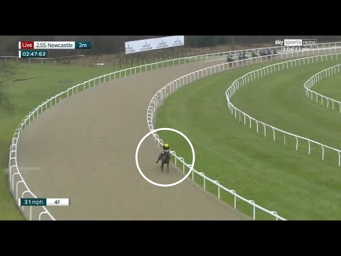 Видео: Невероятные скачки в Ньюкасле! 😮