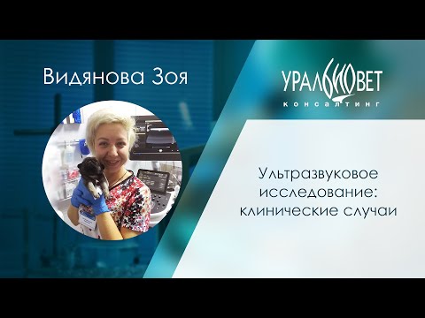 Видео: Ультразвуковое исследование: клинические случаи. Видянова Зоя #убвк_инструментальная_диагностика