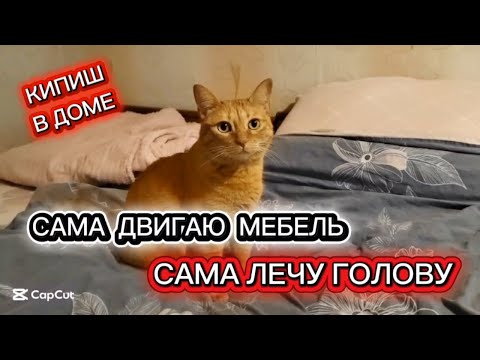 Видео: Опять перестановка мебели! Учусь выбирать себя, а не того парня!