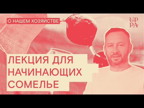 Видео: Лекция для начинающих сомелье