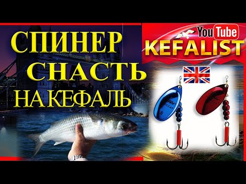 Видео: Снасти на кефаль! СПИНЕР- УНИКАЛЬНАЯ СНАТЬ ИЗ АНГЛИИ для рыбалки на лобань, пиленгаса, долгоноса