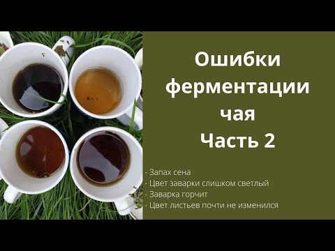 Видео: Ошибки ферментации чая. Часть 2