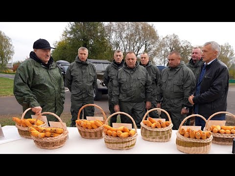 Видео: Лукашенко: Так, директор где? Говори! Импорт или наше? // Шкловский район