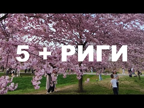 Видео: Пять плюсов Риги