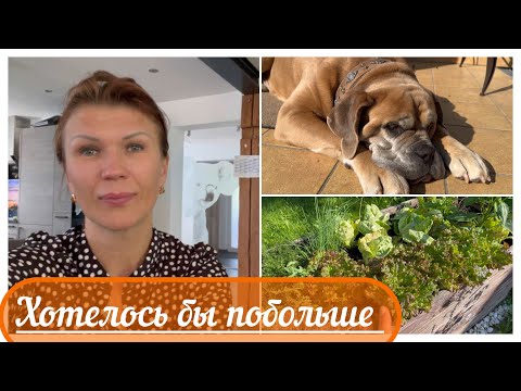 Видео: Завтра уезжаю  🙈🙈🚗 Показываю , что имею 🥰🌹🍎