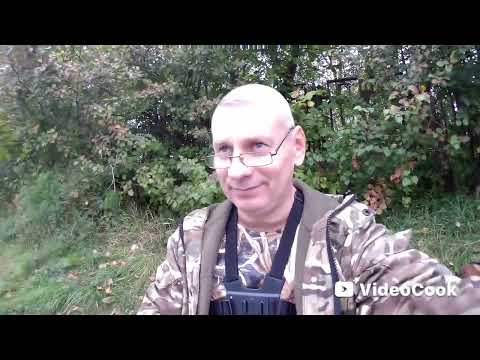 Видео: Сентябрьские поклевки на кукурузу. 