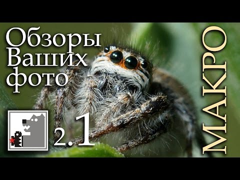 Видео: Обзор фото 2.1 | МАКРО