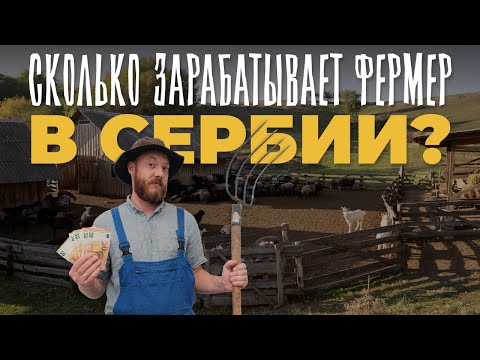 Видео: Можно ли заработать НА ФЕРМЕ В СЕРБИИ? Вся правда!