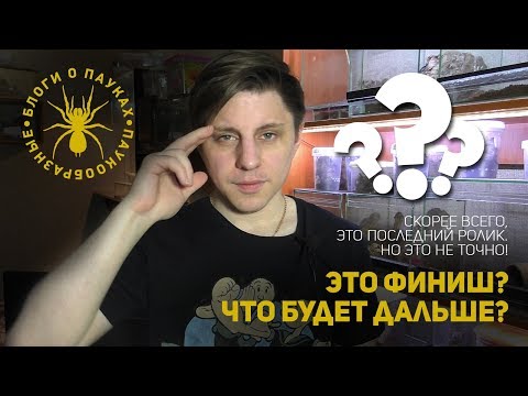 Видео: Моя коллекция и что с ней будет. Судьба канала под вопросом!