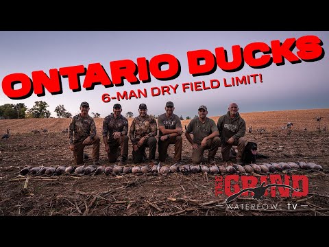 Видео: «Онтарио Дакс» — лимит на сухое поле из 6 человек! Grind Waterfowl S14:E3