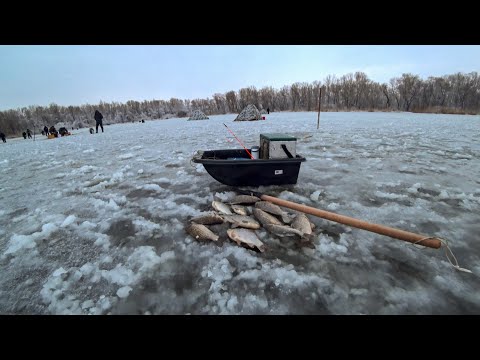 Видео: Знайшов ключ до кілограмових карасів велетнів ●  RoMaX Fishing ●