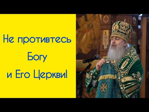 Видео: Проповедь митрополита Арсения в день Собора преподобных отцов Святогорских #упц #проповедь