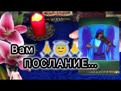 Видео: ВАМ НУЖНОЕ и ВАЖНОЕ ПОСЛАНИЕ ОТ ВАШИХ АНГЕЛОВ ХРАНИТЕЛЕЙ ... 🍀🍁 Гадание Таро