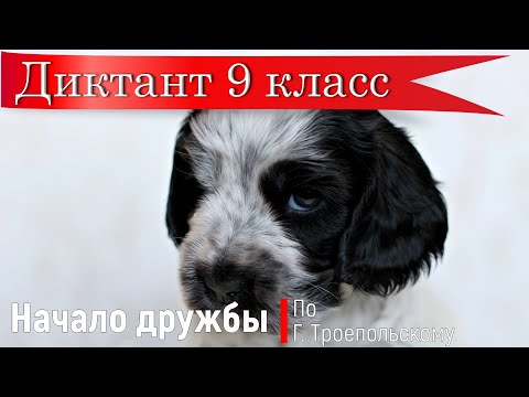 Видео: Диктант по русскому языку с проверкой! 9 класс.  Начало дружбы. #диктант9класс #диктант