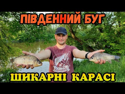 Видео: ВЕЛИКІ КАРАСІ НА РІЧЦІ ПІВДЕННИЙ БУГ / РИБОЛОВЛЯ З НОЧІВЛЕЮ 2023 ПОТУШ БІЛЯ ВІННИЦІ