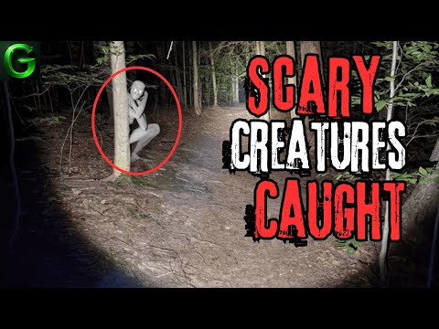 Видео: 20 самых жутких существ снятых на камеру | Подборка Видео #2