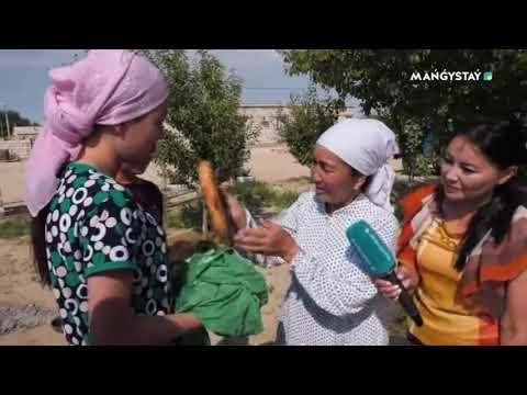 Видео: Ақсүйек - 2 - хабар