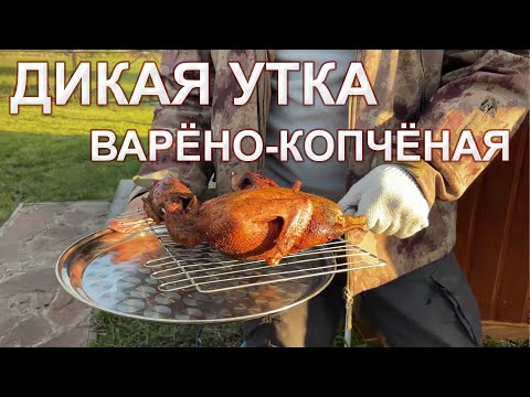 Видео: Рецепт для дикой утки. Мясо получается не сухим и ароматным. Варено-копченые птицы делаем на даче.