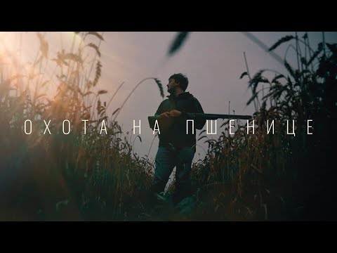 Видео: ОХОТА НА УТКУ НА ПОЛЯХ ПШЕНИЦЫ / ОСЕННИЙ СБОР ГРИБОВ