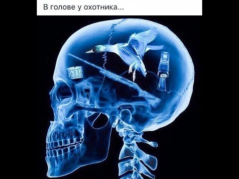 Видео: ТОЗ 99 01 ПОСТРЕЛУШКИ ДЛЯ ДУШИ