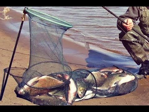 Видео: Как на что и где ловить леща в октябре? Рекомендации ловли леща!