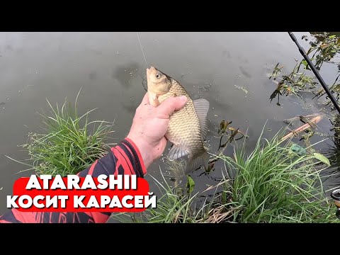 Видео: ПОПАЛ НА ЖОР КАРАСЯ В МАЕ! РАБОТАЕТ ТОЛЬКО МОРМЫШИНГ! Рыбалка 2025