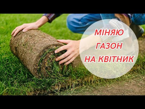 Видео: Створила нову клумбу! Висадила нові рослини! Дивіться що вийшло!