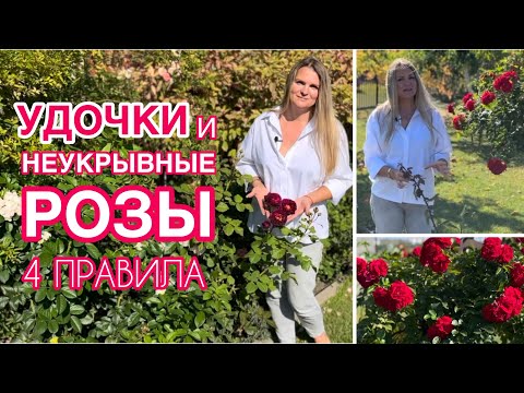 Видео: УДОЧКИ НА РОЗАХ, что с ними делать?/ КАКИЕ РОЗЫ УКРЫВАЮ, КАКИЕ НЕТ