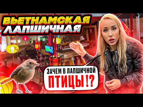 Видео: Уголок Въетнама в Москве? Обзор Хайноской лапшичной «Ма Ми»