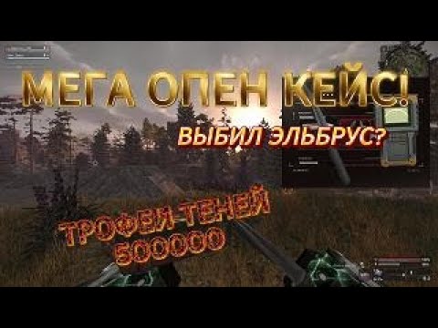 Видео: САМЫЙ БОЛЬШОЙ OPENCASE В СТАЛКРАФТ! ЕСТЬ ШАНСЫ? | STALCRAFT: X