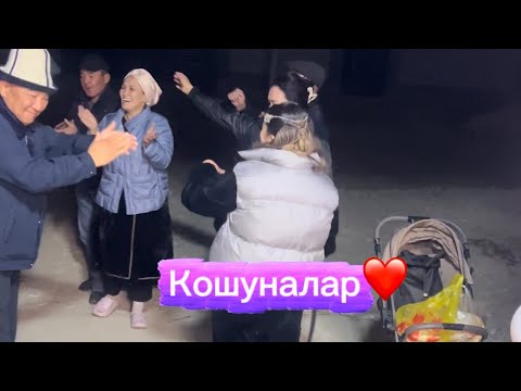 Видео: Кошуналар келишти🎈