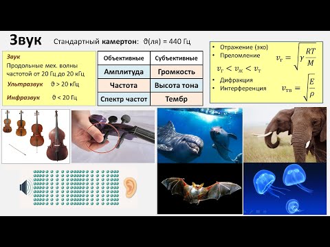 Видео: Рассмотрение темы: "Звук" #самара #школа #физика