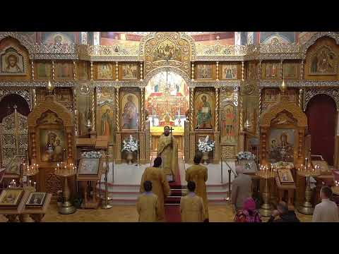Видео: HVC 2025-11-09 - Liturgy - 22nd Sunday After Pentecost - Воскресенье 22-е после Пятидесятницы
