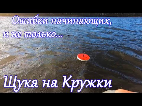 Видео: Рыбалка на Кружки | Ловля Щуки на живца поздней осенью