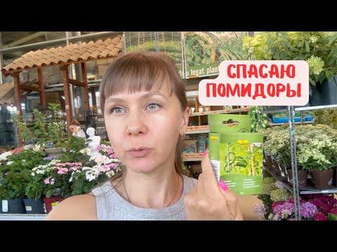 Видео: VLOG: Наши будни, первый урожай и заботы на грядках